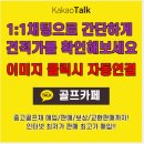 페르시안켓