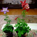 새길약국 이미지