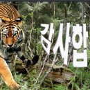 통합리듬댄스 이미지