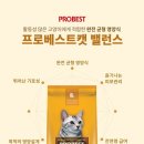 포베스트 이미지