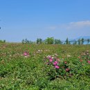 봉남회관 이미지