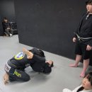 포텐 주짓수 MMA 태권도 | 청주 주짓수 | 키즈부 주짓수·종합격투기·학교체육까지 한 번에 배우는 초등학생 수업