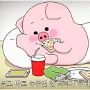 내가돼지라니