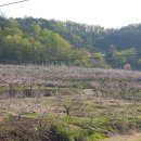 봉양중학교 이미지