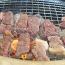 스파고기 이미지