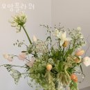 모앙