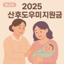2025 산후도우미 지원금｜신청자격, 금액, 신청방법, 본인부담금, 후기 총정리
