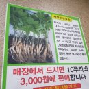 삼쟁이풍천민물장어 이미지