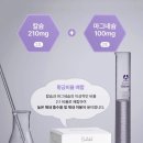 베투키 칼마미 효과 성분 아기 내돈내산 후기 가격 부작용 복용법 정리