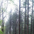 천왕봉민박 이미지