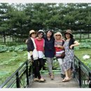 자원농원 이미지