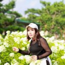 우솔 이미지