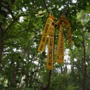 용산-263 이미지