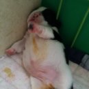 이시키 이미지
