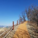 영천시 그린환경센터 이미지