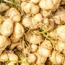 김화자농장 이미지