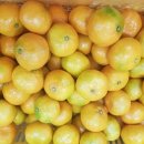 달콤하우스 이미지