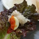 삼천포세꼬시 이미지