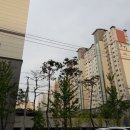 이웃집소녀떡볶이신대부적점 이미지