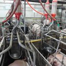 서해8농장 이미지