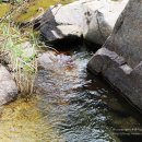 강뜨락팬션 이미지