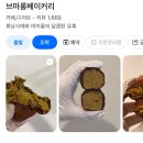 4840 | 대구 두쫀쿠 두바이쫀득쿠키 맛집 브마롱베이커리 꿀팁 솔직후기
