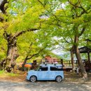 붕붕자동차구하기 이미지