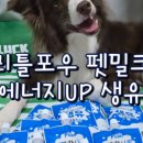 리틀포우 이미지