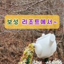 보성녹차리조트 이미지