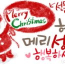 신데렐라속눈썹#
