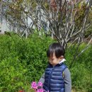 사직지구대 이미지