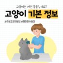 AMI PET 이미지