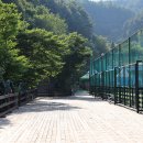 홍천메기매운탕 이미지