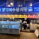 양대리수산시장 | 상암 횟집 존맛 숙성회 양대리수산시장 실장님특선회 후기