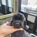 오도독뽀도독 이미지