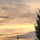 아름축산 이미지