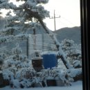 일봉농장 이미지