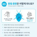 한국네츄럴팜 이미지