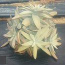 외송농장 이미지