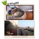 인양양초장 | 인양현미흑초 3년숙성, 전통식초의 진한 풍미