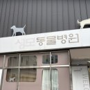 성모동물병원 이미지