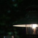 새벽숲 이미지