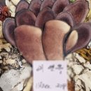 아현재한의원 이미지