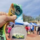 5 | 2026 영주 소백산 마라톤 5km 후기｜벚꽃 코스 + 먹방런까지 완벽했던 하루🌸