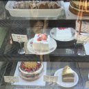 댕댕이꼬양 이미지