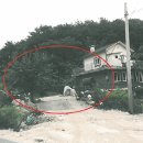 지내고탄로 네이버블로그