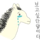 서운체육공원 (계양체육관) 이미지