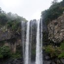 서귀동-43 이미지