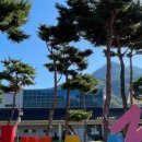 대영반점 이미지