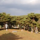 가좌리 석조약사여래좌상 이미지